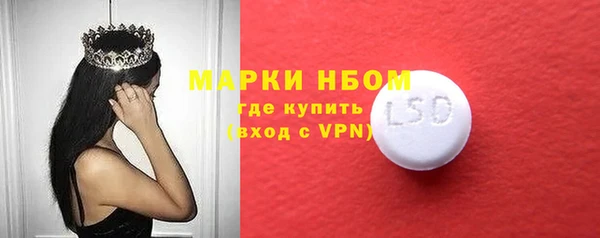 стаф Нея