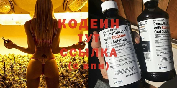 стаф Нея