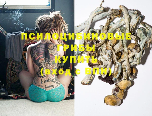 стаф Нея