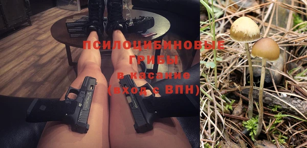 стаф Нея