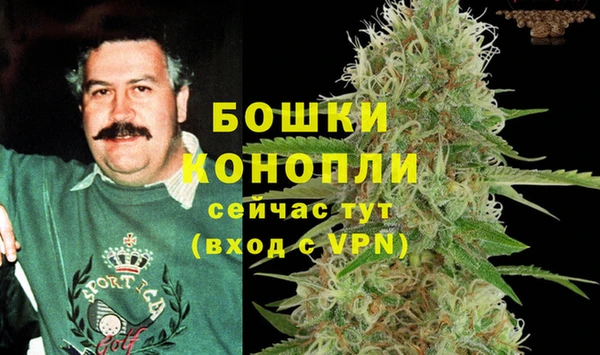 стаф Нея