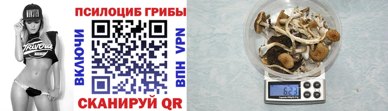 Псилоцибиновые грибы ЛСД  наркошоп  Нахабино 